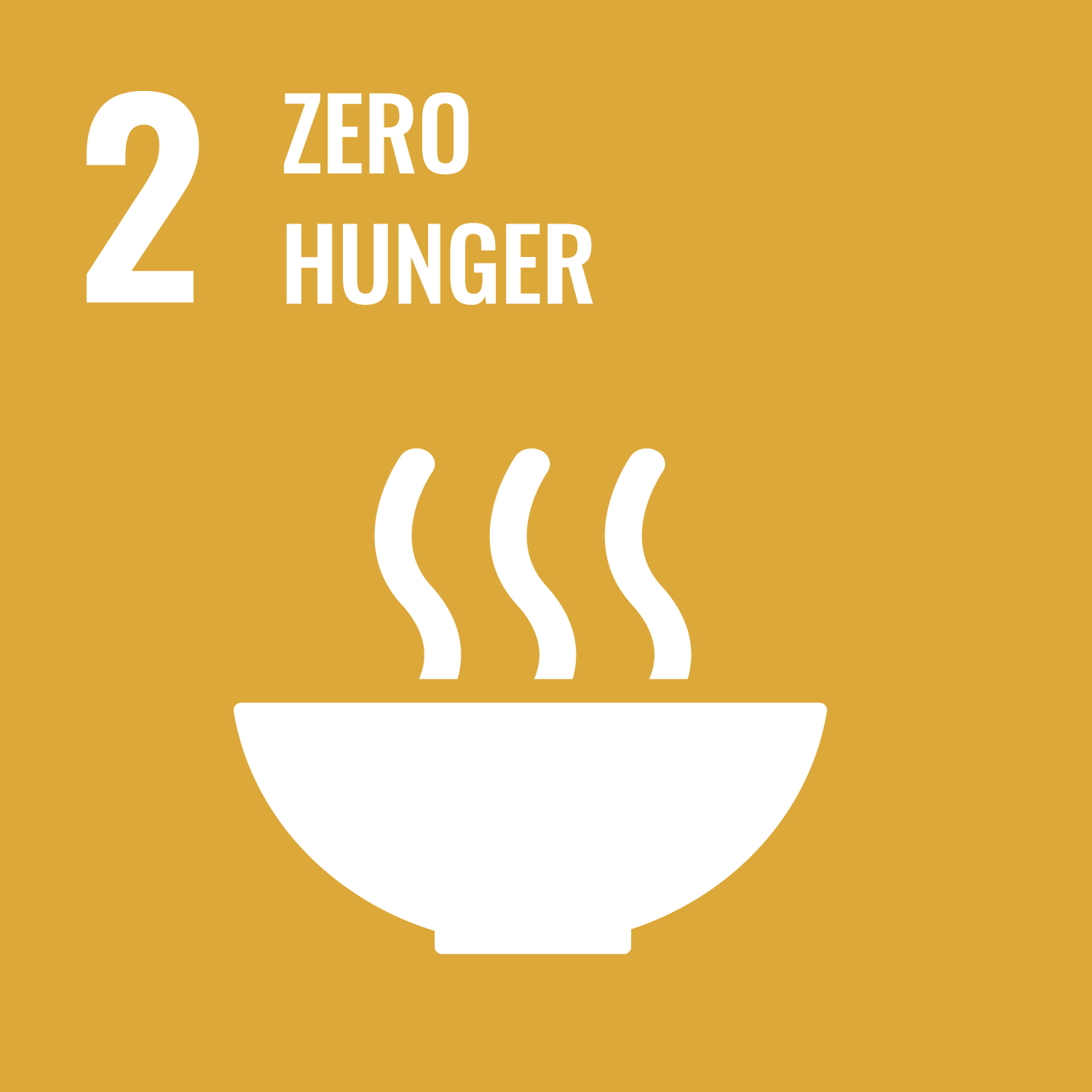 SDG 2 Zero Hunger Graphic